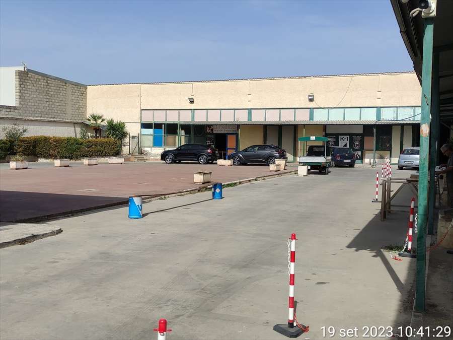 immagine annuncio 3 di 6