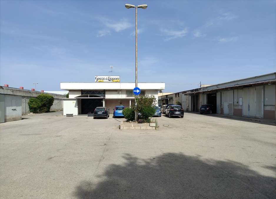 immagine annuncio 5 di 6