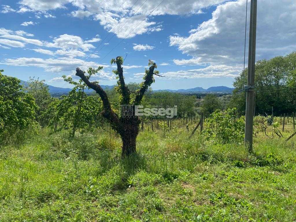  - foto 19