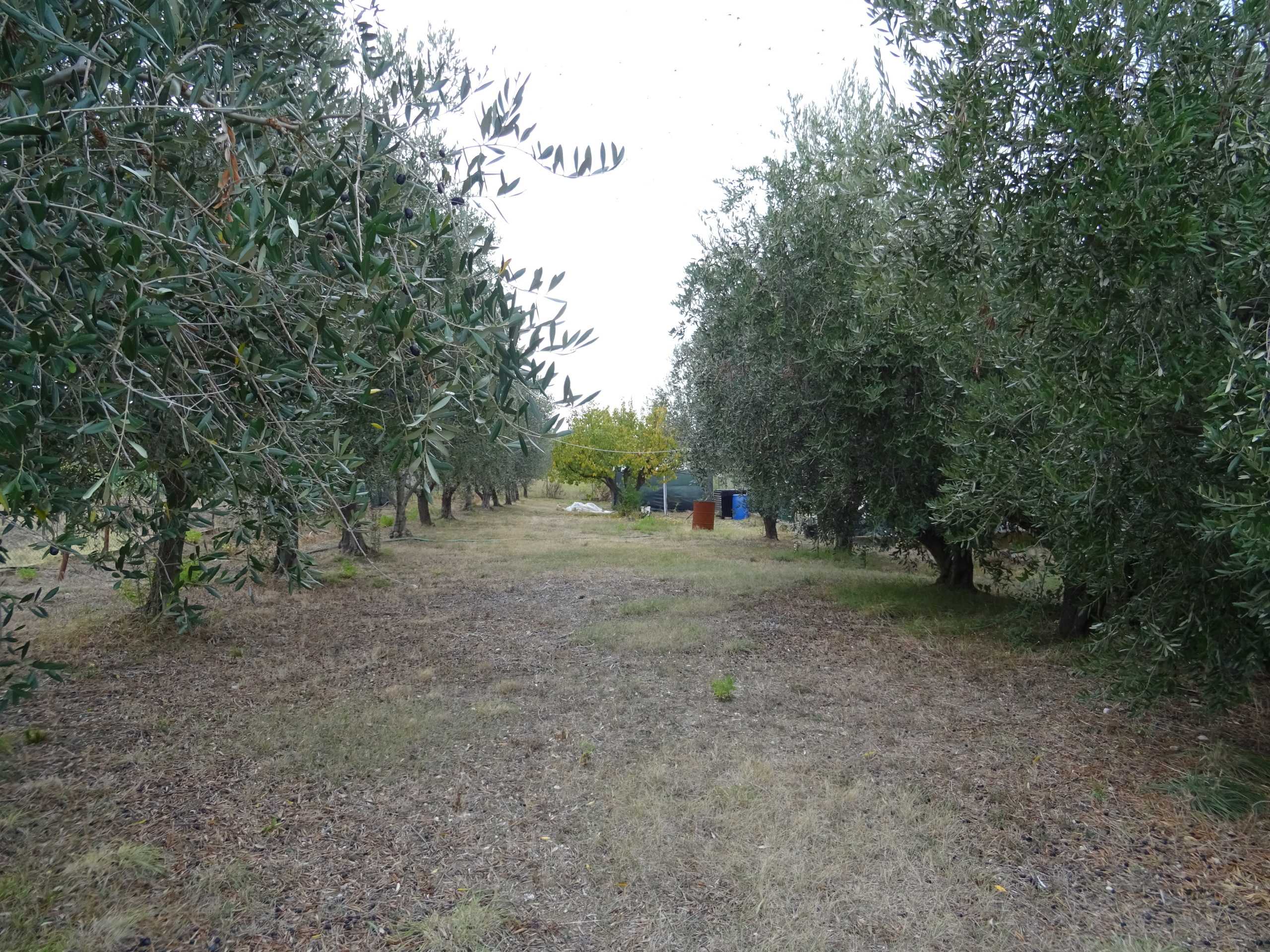  - foto 23