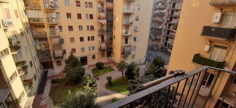  - foto 13