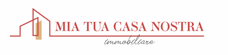 Logo SV s.a.s di Ursu Valeria
