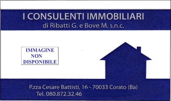I CONSULENTI IMMOBILIARI