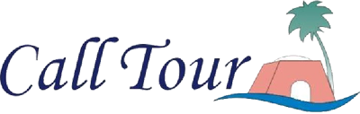 Calltour