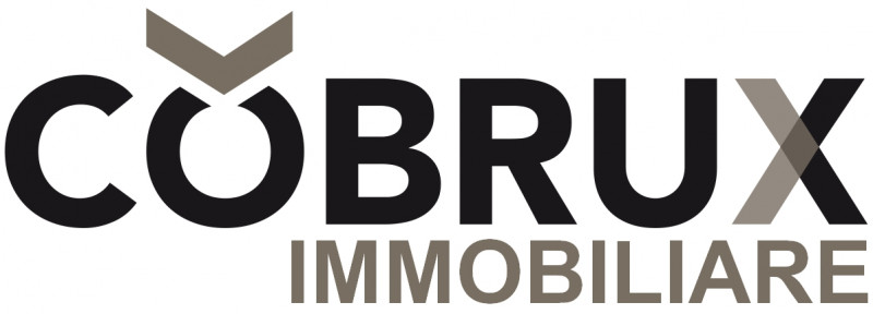 Logo Cobrux srl