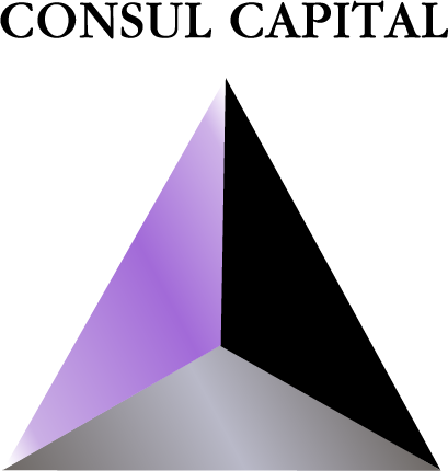 Agenzia Immobiliare CONSUL CAPITAL IMMOBILIARE Srl