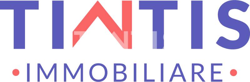 Tintis Immobiliare